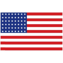 BLASON 01 DRAPEAU US 48 ETOILES